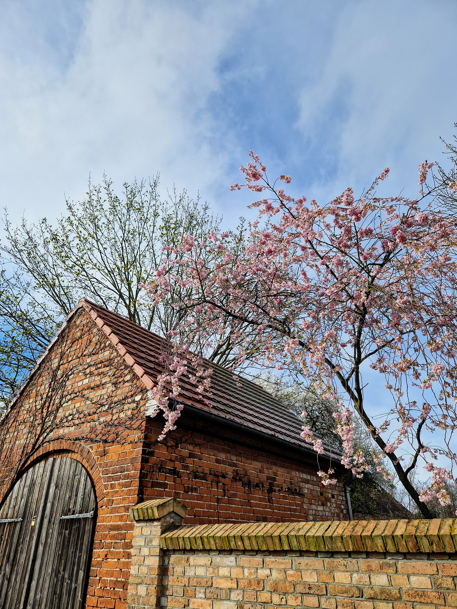 © Sylvi Krentz – Vielitz