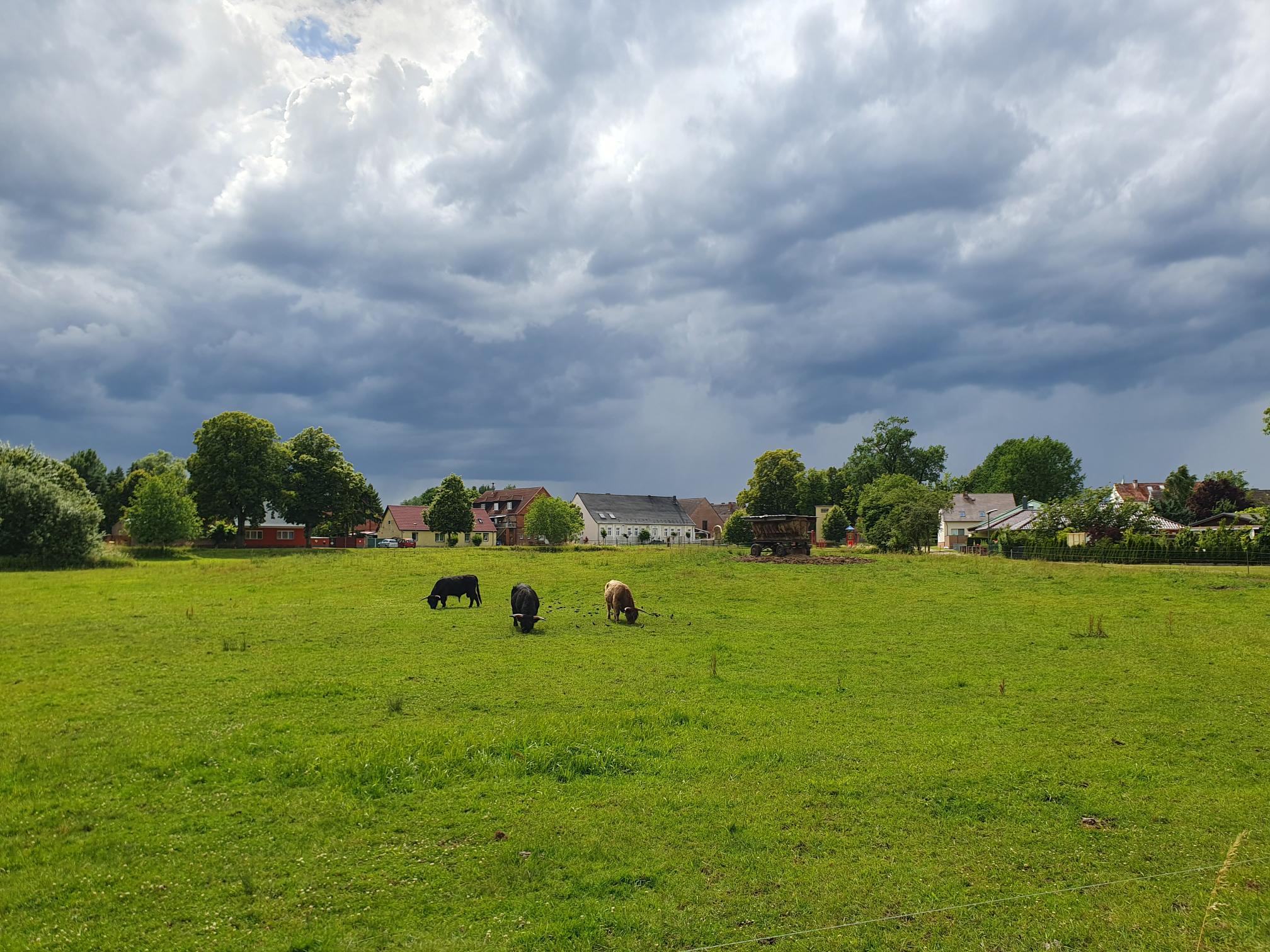 © Petra Krischok – Vielitz