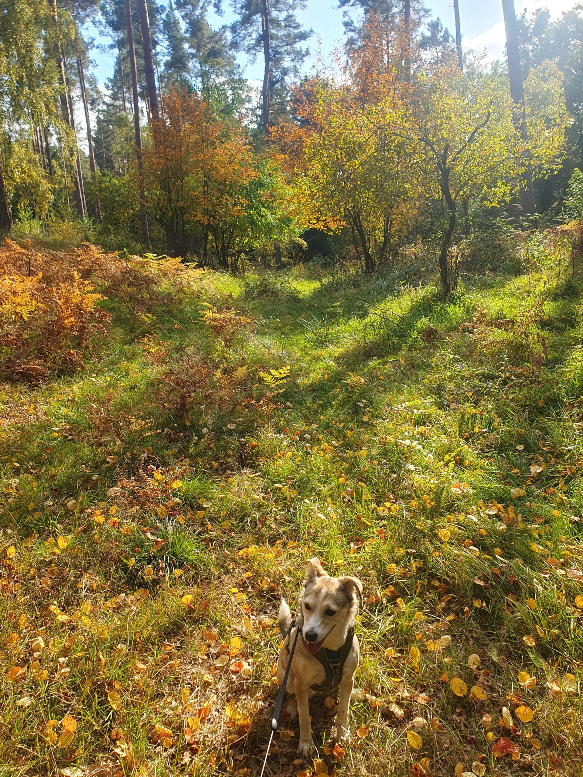 © Petra Krischok – Vielitz