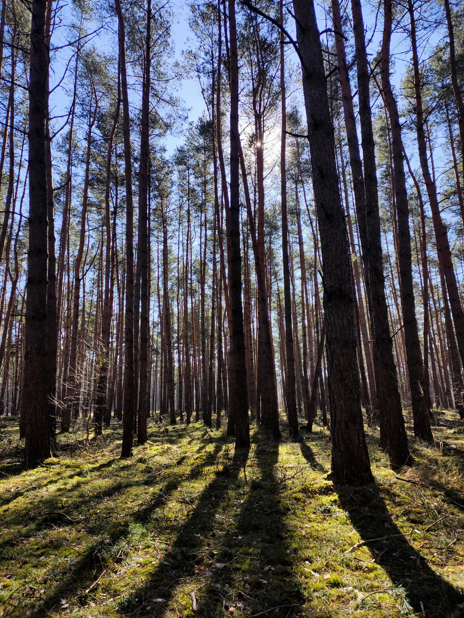 © Sylvi Krentz – Vielitz