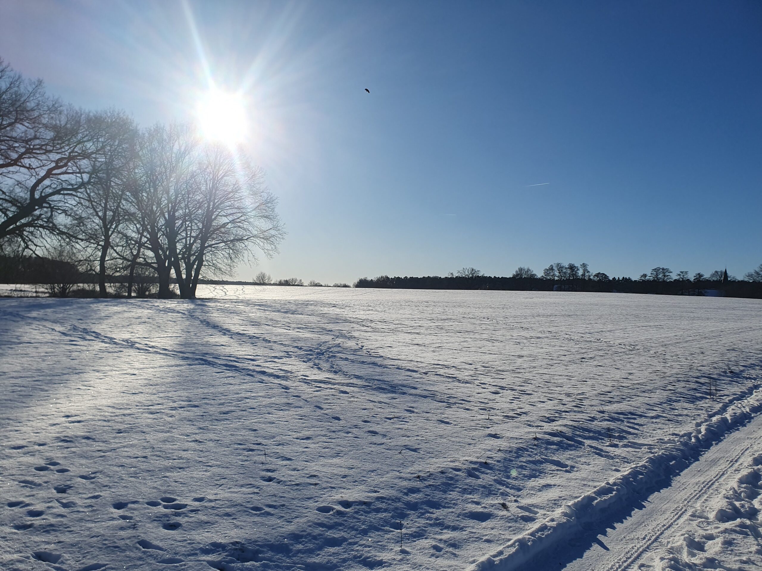 © Petra Krischok – Glambeck