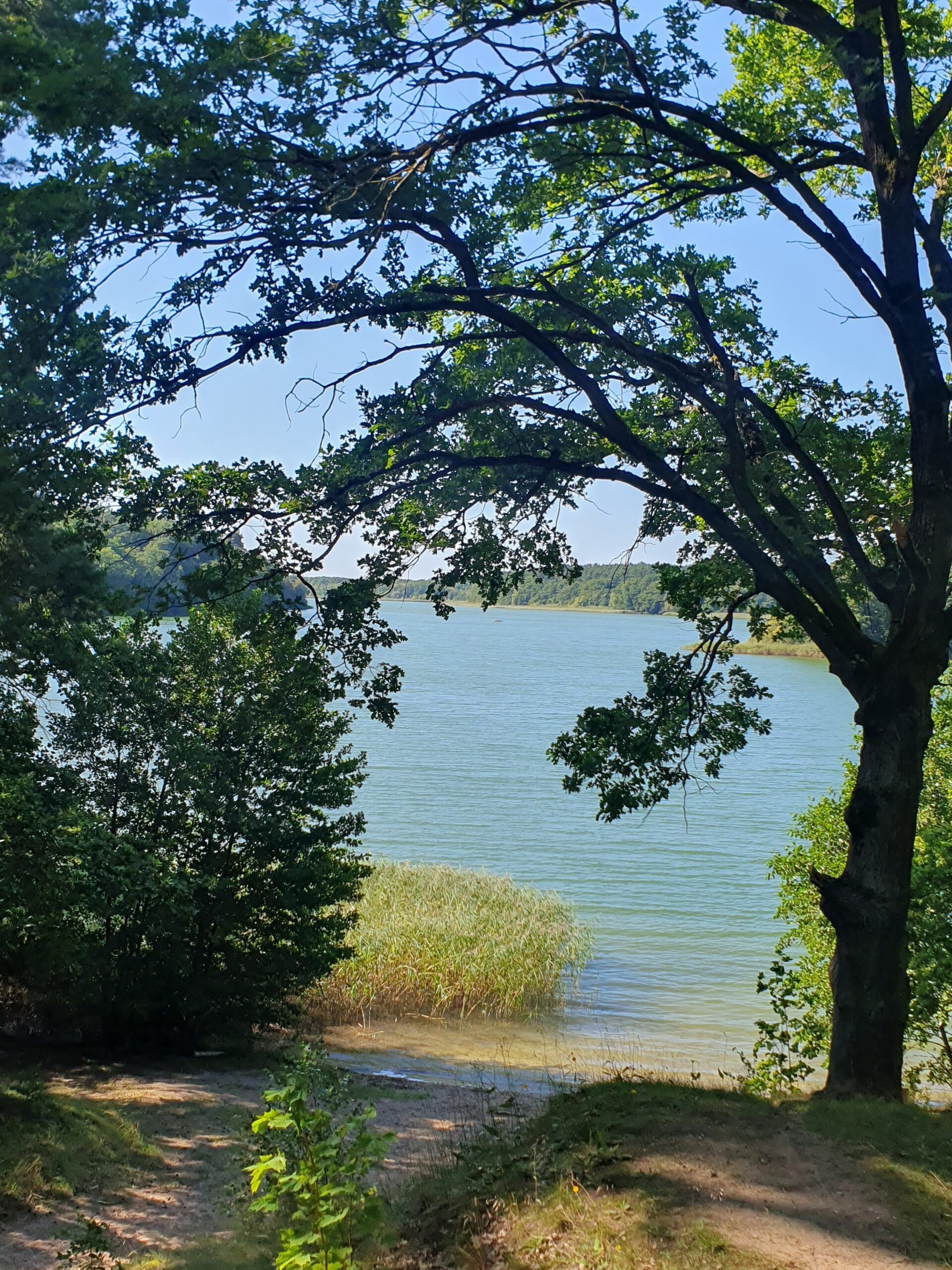 © Petra Krischok – Wutzsee, Lindow